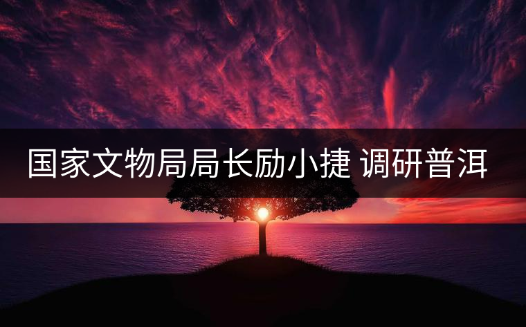 國家文物局局長勵小捷 調研普洱景邁山古茶園申遺工作 國家文物局局長勵小捷 調研普洱景邁山古茶園申遺工作