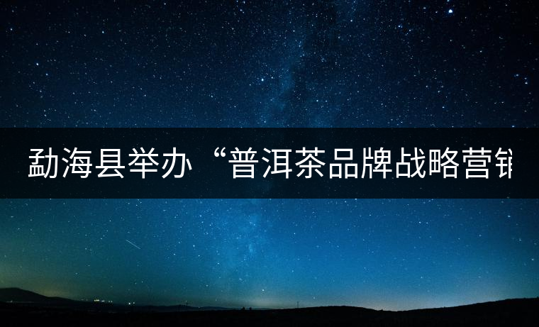 勐?？h舉辦“普洱茶品牌戰(zhàn)略營銷專題講座”