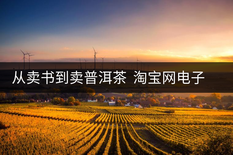 從賣書到賣普洱茶 淘寶網(wǎng)電子商務改變?nèi)松? alt=