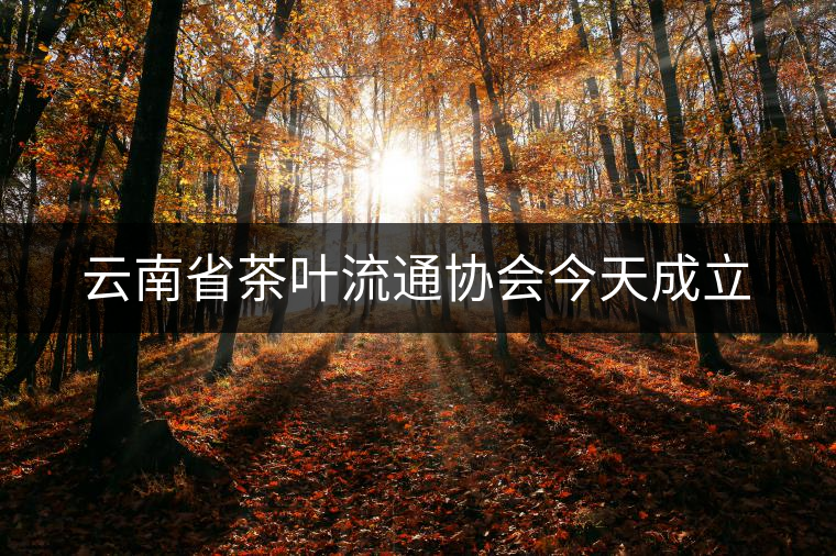 云南省茶葉流通協(xié)會(huì)今天成立 云南省茶葉流通協(xié)會(huì)今天成立