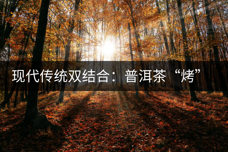 現代傳統(tǒng)雙結合:普洱茶“烤”上了太陽能 現代傳統(tǒng)雙結合:普洱茶“烤”上了太陽能