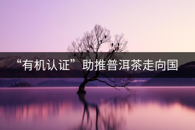 “有機認證”助推普洱茶走向國際 “有機認證”助推普洱茶走向國際