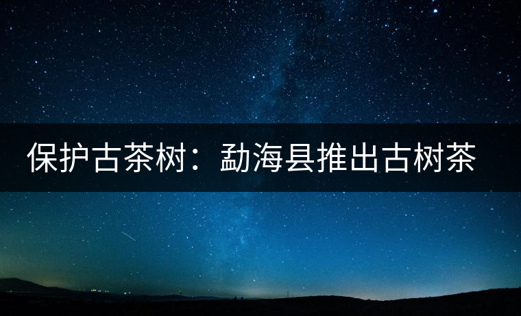 保護(hù)古茶樹(shù):勐海縣推出古樹(shù)茶認(rèn)養(yǎng)活動(dòng) 保護(hù)古茶樹(shù):勐海縣推出古樹(shù)茶認(rèn)養(yǎng)活動(dòng)