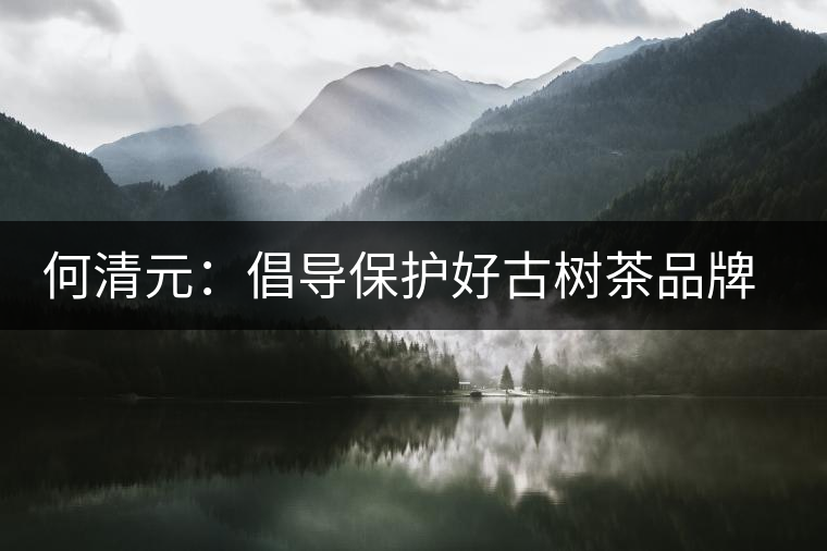 何清元：倡導(dǎo)保護(hù)好古樹(shù)茶品牌資源