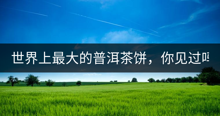 世界上最大的普洱茶餅，你見過嗎？