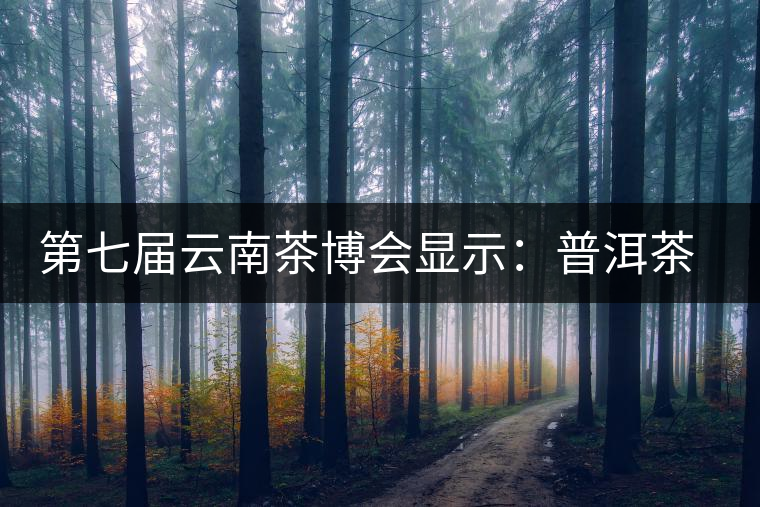 第七屆云南茶博會顯示:普洱茶開始回歸理性 第七屆云南茶博會顯示:普洱茶開始回歸理性