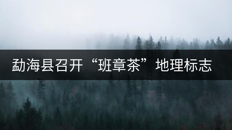 勐海縣召開“班章茶”地理標(biāo)志認(rèn)證評審會