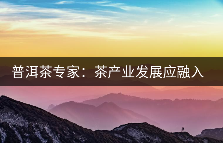 普洱茶專家:茶產業(yè)發(fā)展應融入“大健康”理念 普洱茶專家:茶產業(yè)發(fā)展應融入“大健康”理念