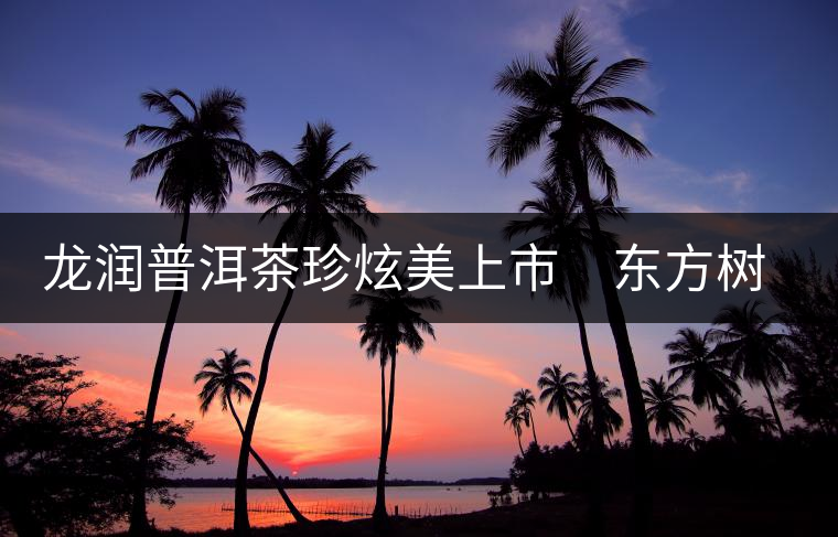 龍潤普洱茶珍炫美上市 東方樹葉再現(xiàn)神奇 龍潤普洱茶珍炫美上市 東方樹葉再現(xiàn)神奇