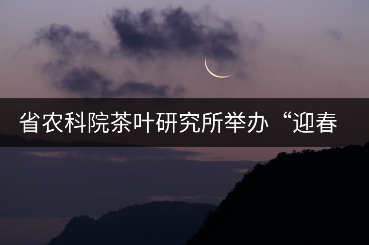 省農(nóng)科院茶葉研究所舉辦“迎春節(jié)、慶元旦”籃球聯(lián)誼賽