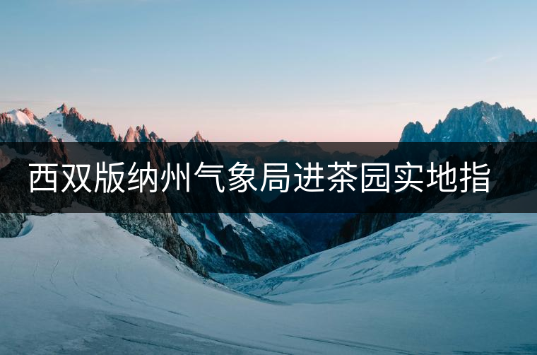 西雙版納州氣象局進茶園實地指導 西雙版納州氣象局進茶園實地指導