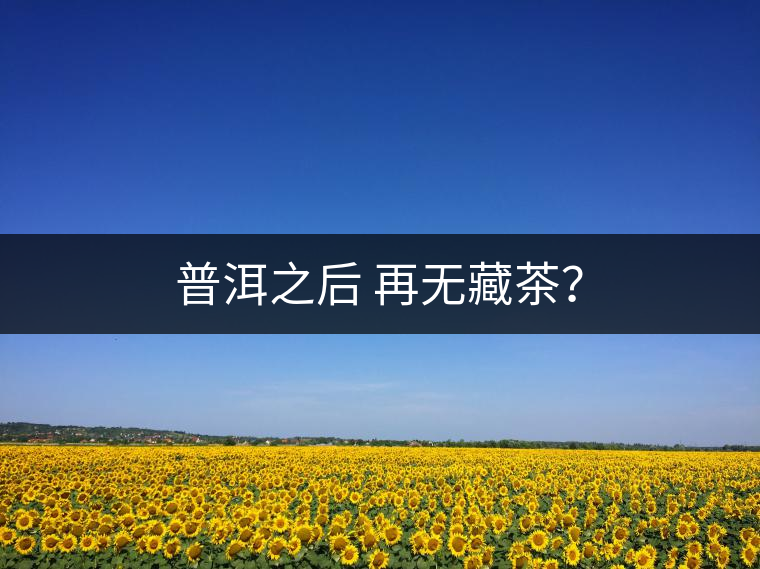普洱之后 再無藏茶？