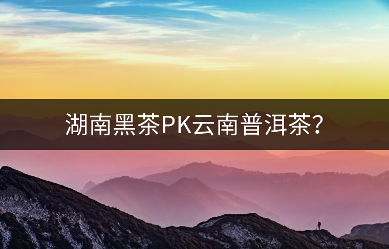 湖南黑茶PK云南普洱茶？