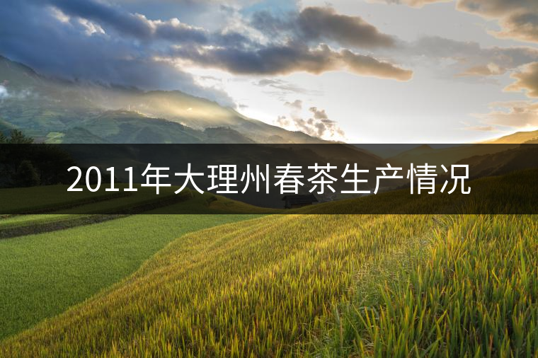 2011年大理州春茶生產(chǎn)情況