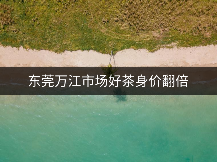 東莞萬(wàn)江市場(chǎng)好茶身價(jià)翻倍 東莞萬(wàn)江市場(chǎng)好茶身價(jià)翻倍