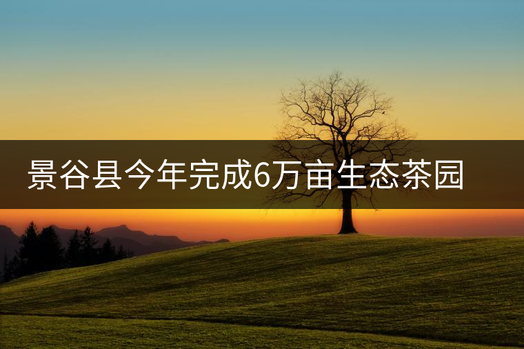 景谷縣今年完成6萬畝生態(tài)茶園建設(shè) 景谷縣今年完成6萬畝生態(tài)茶園建設(shè)