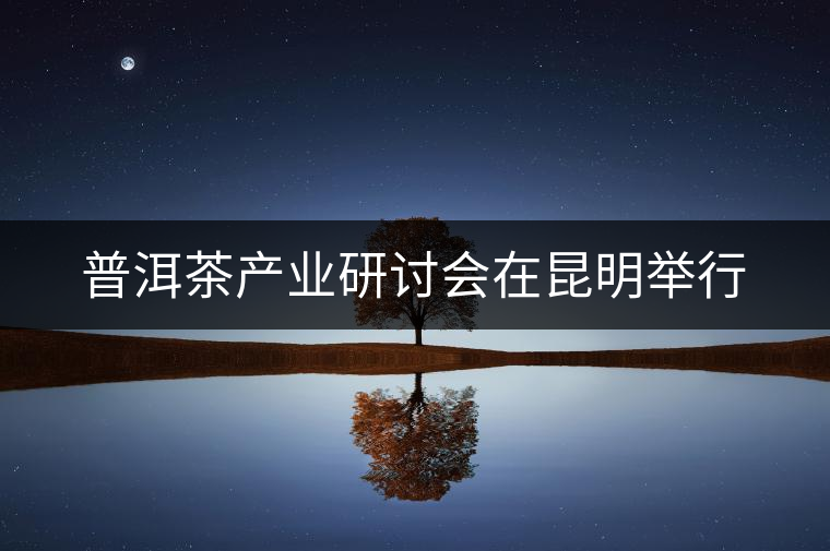 普洱茶產(chǎn)業(yè)研討會在昆明舉行 普洱茶產(chǎn)業(yè)研討會在昆明舉行