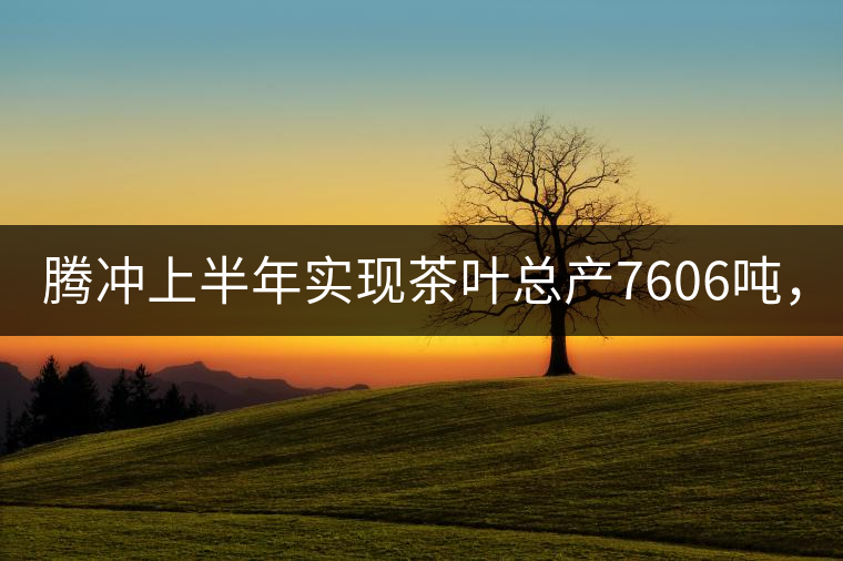 騰沖上半年實(shí)現(xiàn)茶葉總產(chǎn)7606噸，總產(chǎn)值5.58億元