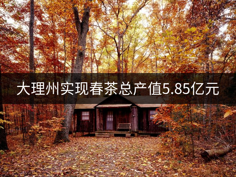 大理州實現(xiàn)春茶總產值5.85億元 大理州實現(xiàn)春茶總產值5.85億元