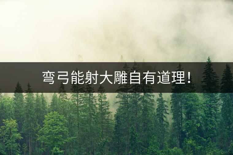 彎弓能射大雕自有道理！