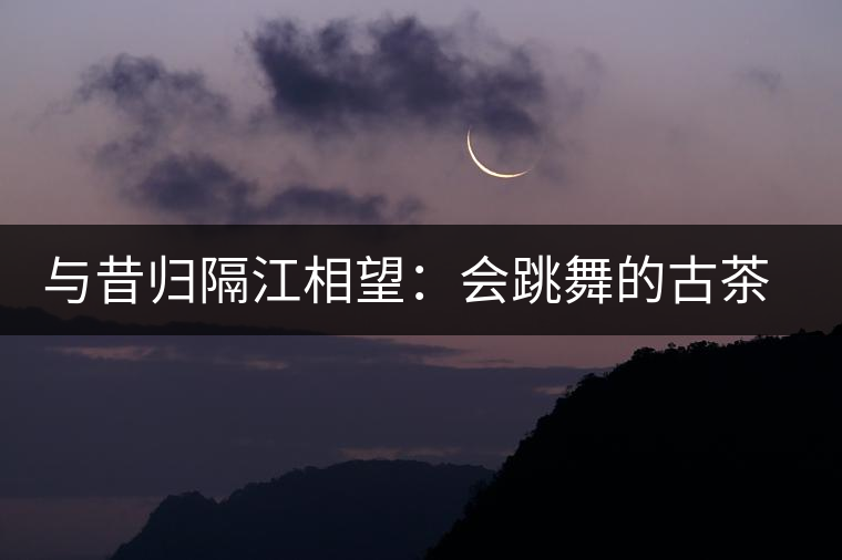 與昔歸隔江相望:會跳舞的古茶樹 與昔歸隔江相望:會跳舞的古茶樹
