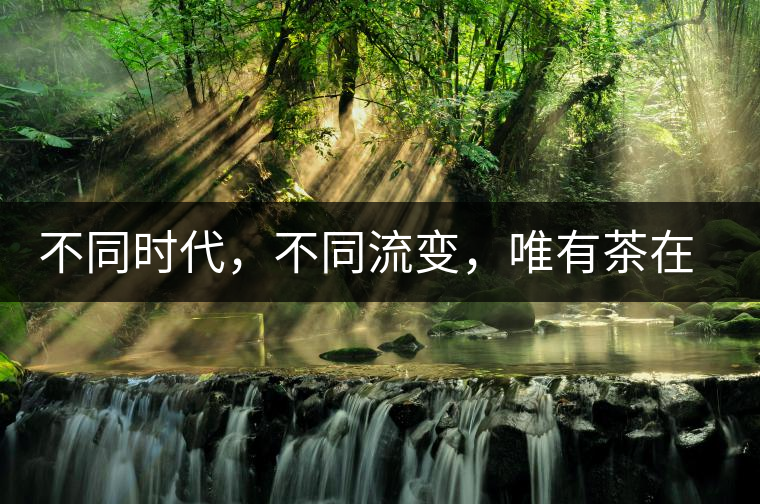 不同時(shí)代，不同流變，唯有茶在傳承