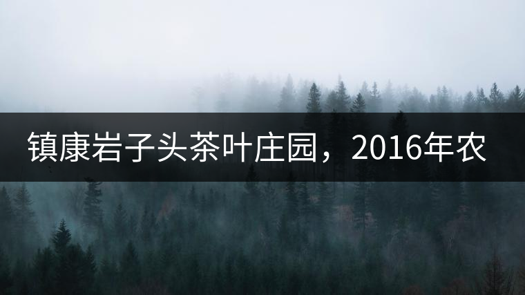 鎮(zhèn)康巖子頭茶葉莊園，2016年農(nóng)業(yè)產(chǎn)值達(dá)6000余萬(wàn)元