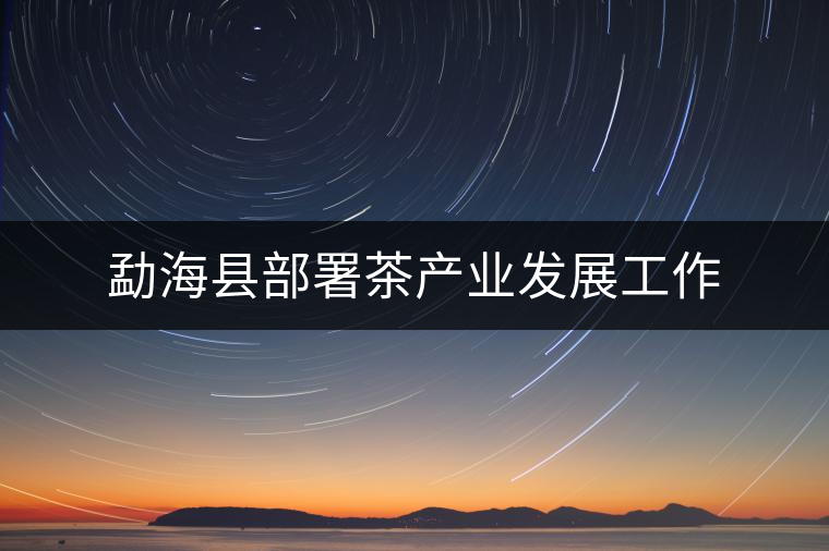 勐?？h部署茶產業(yè)發(fā)展工作