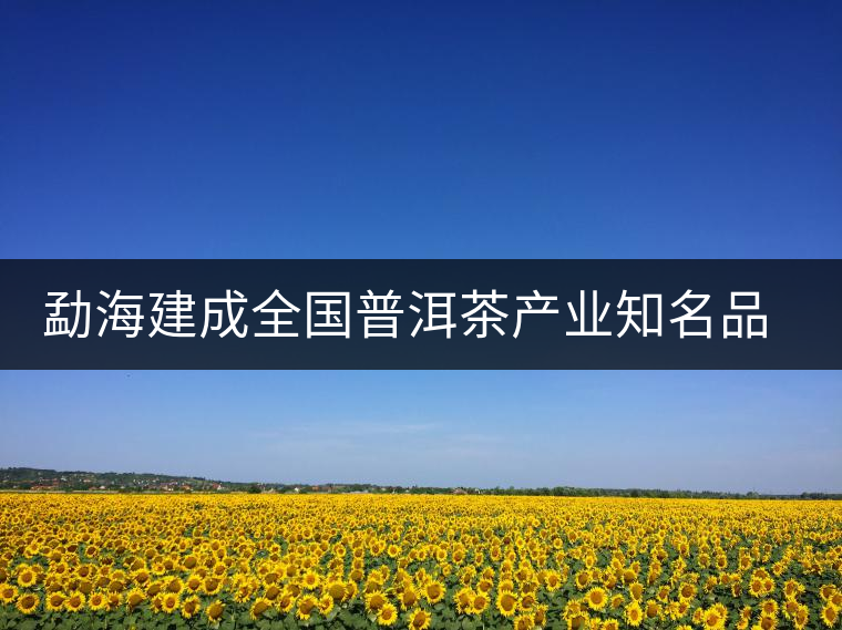 勐海建成全國普洱茶產(chǎn)業(yè)知名品牌創(chuàng)建示范區(qū)