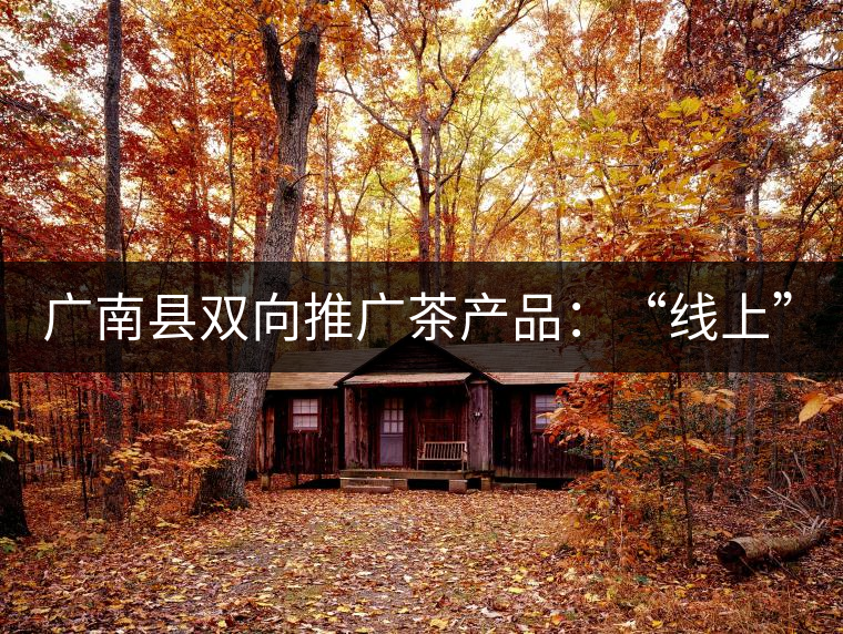廣南縣雙向推廣茶產(chǎn)品：“線上”銷售茶葉已有100多家，“線下”銷售額已達(dá)百萬(wàn)