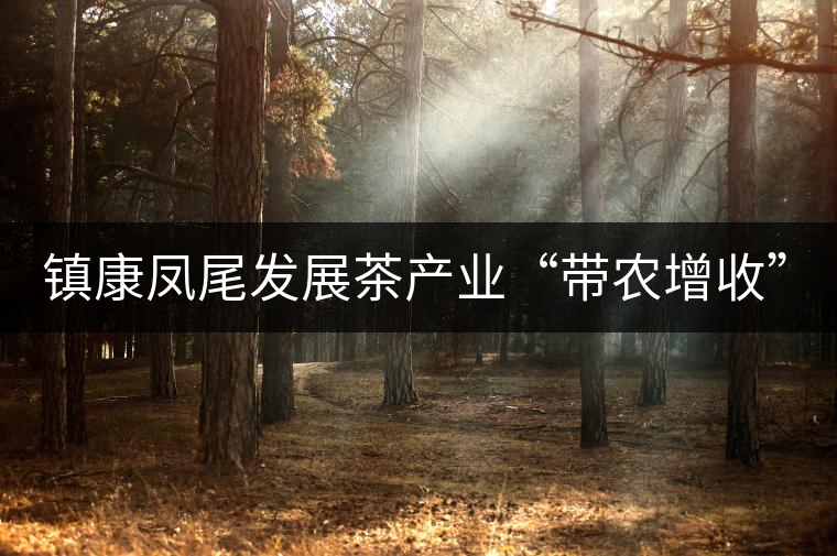 鎮(zhèn)康鳳尾發(fā)展茶產(chǎn)業(yè)“帶農(nóng)增收”，由2012年380萬元增長到1260萬元