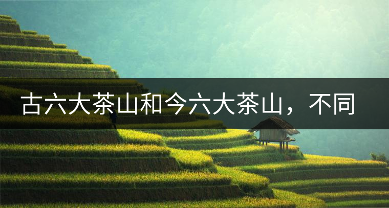 古六大茶山和今六大茶山，不同普洱茶品質(zhì)