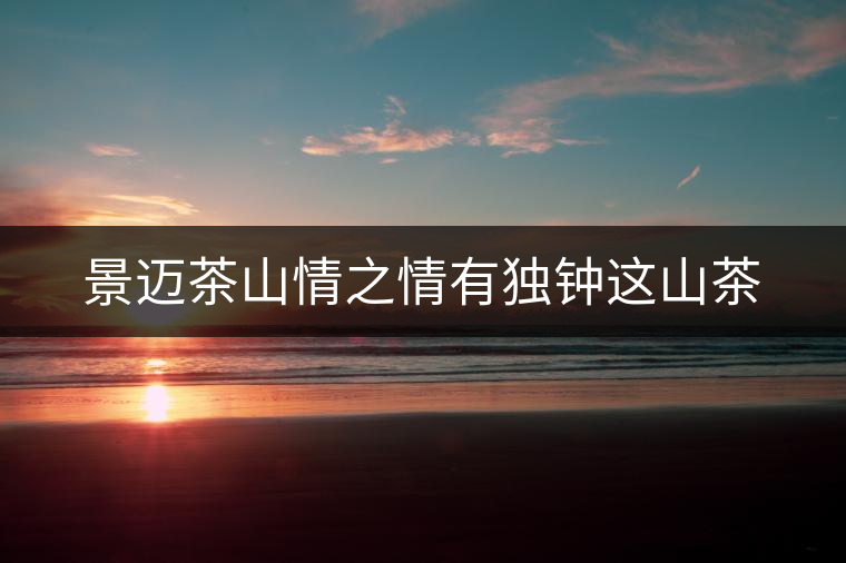景邁茶山情之情有獨(dú)鐘這山茶 景邁茶山情之情有獨(dú)鐘這山茶