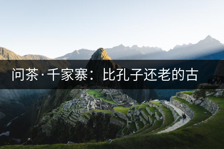 問茶·千家寨：比孔子還老的古茶樹