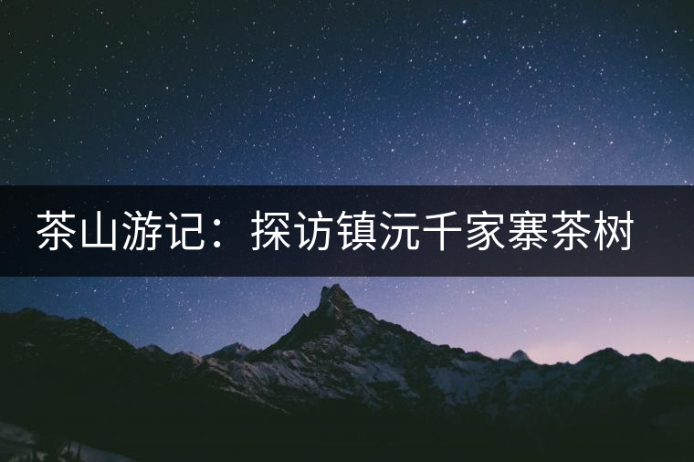 茶山游記：探訪鎮(zhèn)沅千家寨茶樹(shù)王
