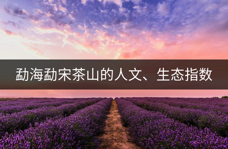 勐海勐宋茶山的人文、生態(tài)指數(shù)