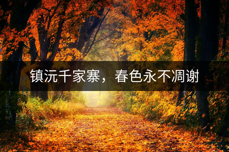 鎮(zhèn)沅千家寨，春色永不凋謝