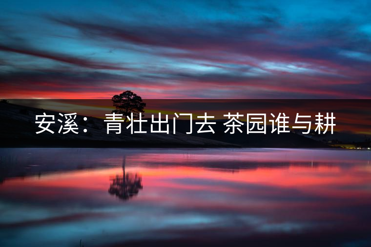 安溪:青壯出門(mén)去 茶園誰(shuí)與耕 安溪:青壯出門(mén)去 茶園誰(shuí)與耕