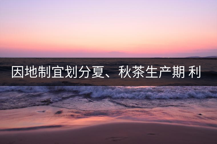 因地制宜劃分夏、秋茶生產(chǎn)期 利于采摘品質(zhì)