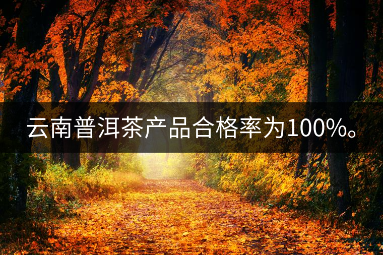 云南普洱茶產品合格率為100%。