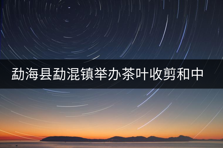 勐?？h勐混鎮(zhèn)舉辦茶葉收剪和中耕培土現(xiàn)場培訓會