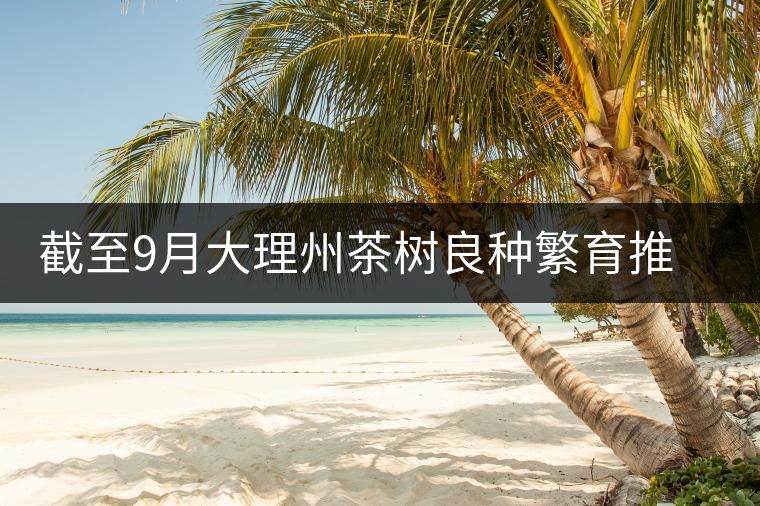 截至9月大理州茶樹(shù)良種繁育推廣基本情況