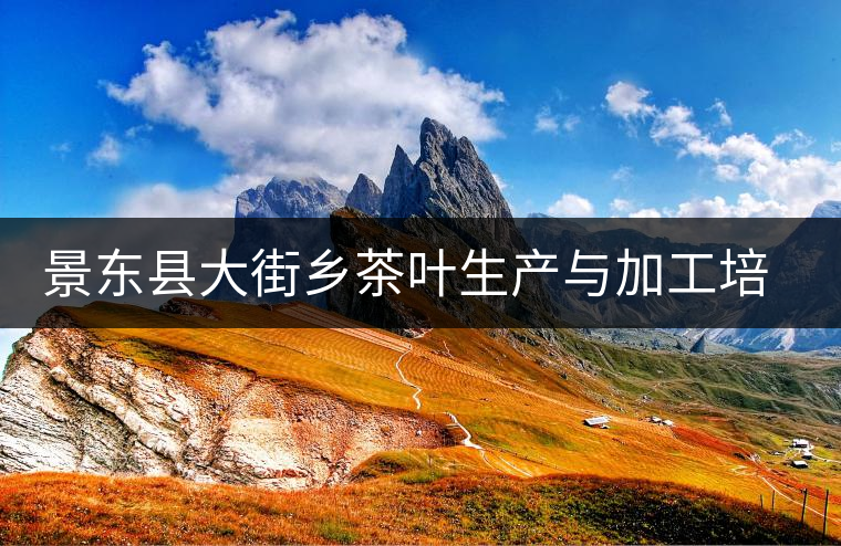 景東縣大街鄉(xiāng)茶葉生產與加工培訓班順利結業(yè) 景東縣大街鄉(xiāng)茶葉生產與加工培訓班順利結業(yè)