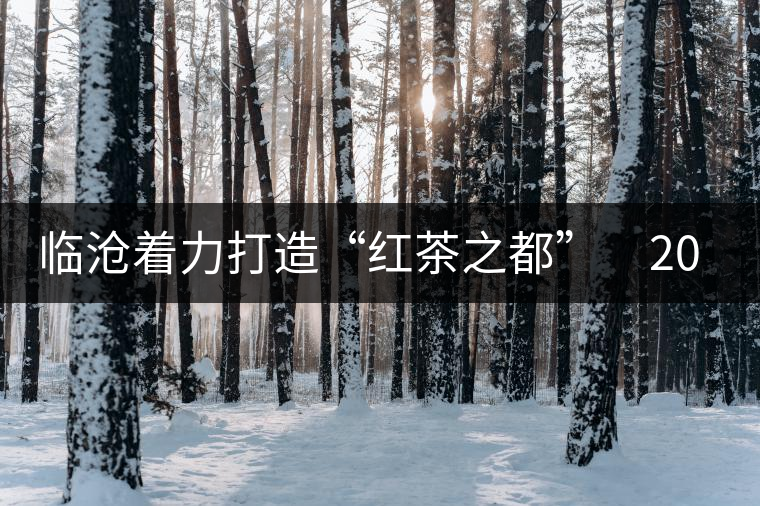 臨滄著力打造“紅茶之都”　2015年茶產(chǎn)業(yè)產(chǎn)值力爭(zhēng)達(dá)到50億元