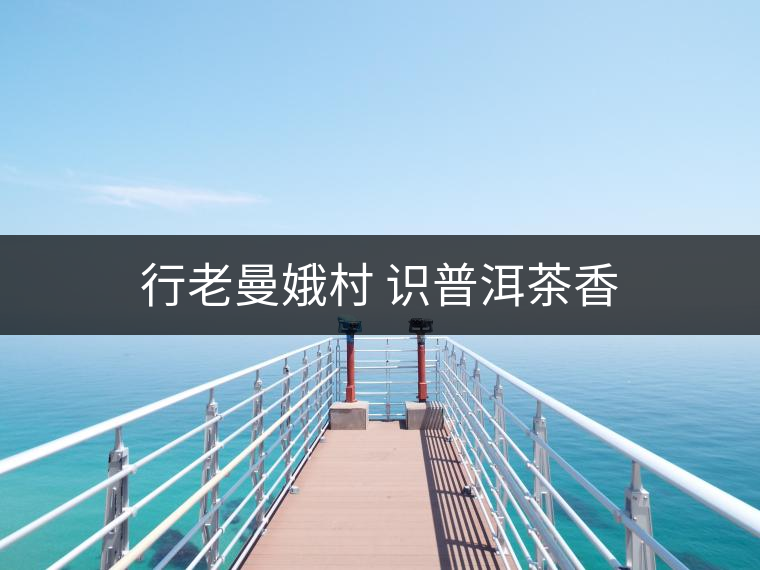 行老曼娥村 識(shí)普洱茶香 行老曼娥村 識(shí)普洱茶香