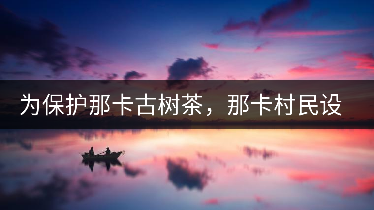 為保護(hù)那卡古樹茶，那卡村民設(shè)公約牌