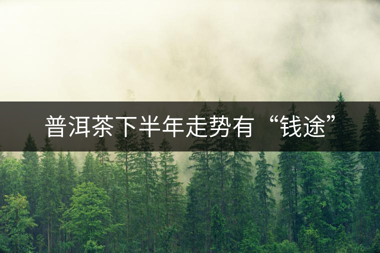 普洱茶下半年走勢有“錢途”
