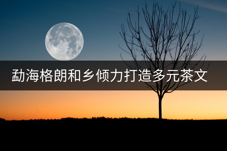勐海格朗和鄉(xiāng)傾力打造多元茶文化 勐海格朗和鄉(xiāng)傾力打造多元茶文化