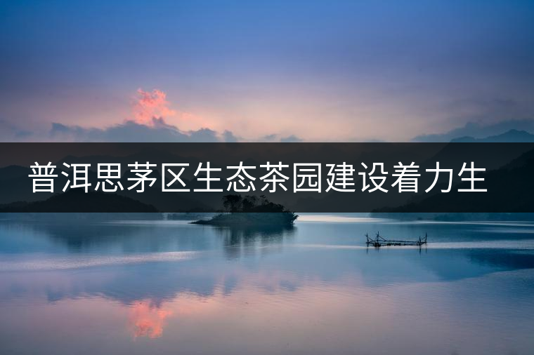 普洱思茅區(qū)生態(tài)茶園建設(shè)著力生物多樣性立體復合式