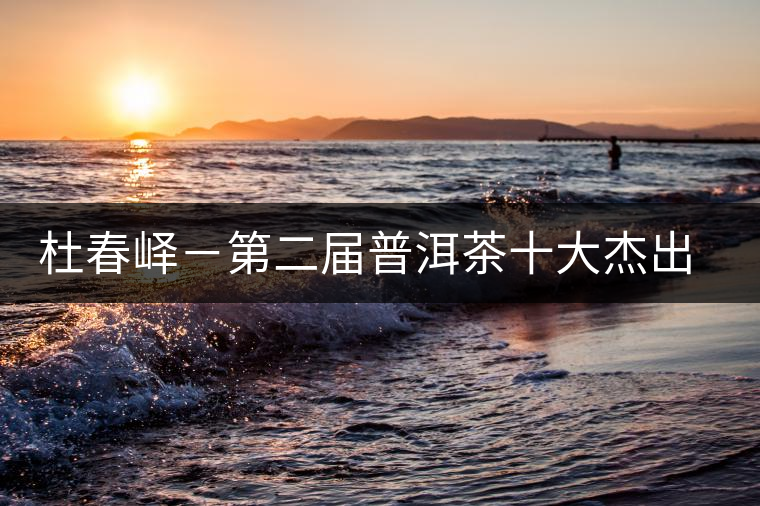 杜春嶧-第二屆普洱茶十大杰出人物介紹 杜春嶧-第二屆普洱茶十大杰出人物介紹